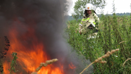 пожарные добровольцы на страже пожарной безопасности в сельской местности - фото - 4