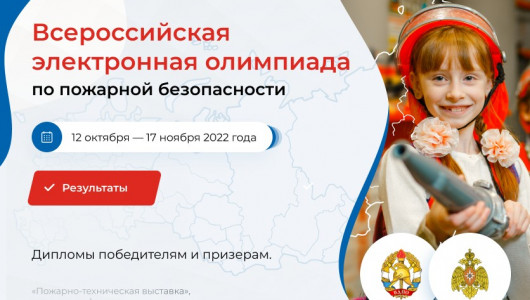 подведены итоги Всероссийской электронной олимпиады ВДПО - 2022 - фото - 1