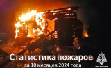 статистика пожаров за 10 месяцев 2024 года - фото - 1