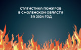 статистика пожаров в Смоленской области за 2024 год - фото - 1
