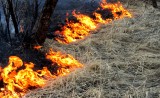 сведения об обстановке с пожарами, палами сухой травянистой растительности - фото - 1