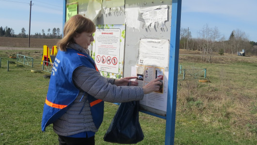 деревенский весенний противопожарный рейд - фото - 7
