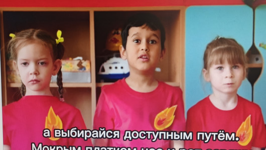 «сам себе пожарный режиссёр» завершился в Сафоново - фото - 10