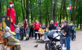 вдпо принимает участие в развитии волонтерского движения на Смоленщине - фото - 10